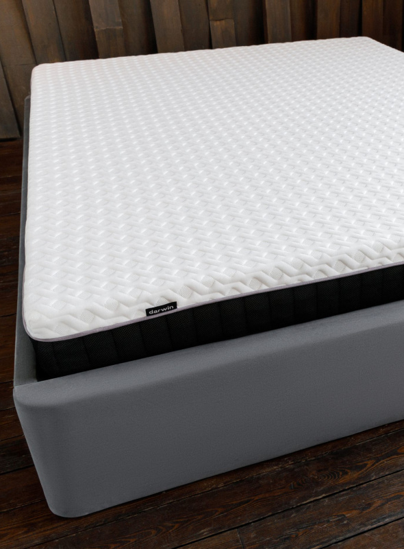 Life foam
